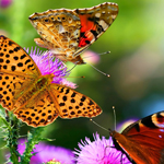 激活门户可靠的网站压力测试